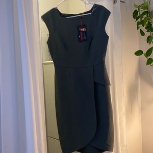 Limited edition Scandal Dress from The Limited